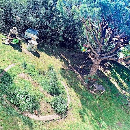 Grand T3 Frejus Base Nature Extérieur photo